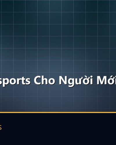 Cá Cược Esports Cho Người Mới: Tổng Quan