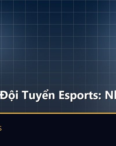 Phân Tích Đội Tuyển Esports: Nhìn Gì