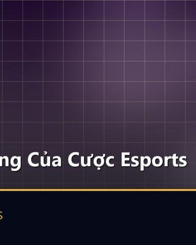 Rủi Ro Riêng Của Cược Esports